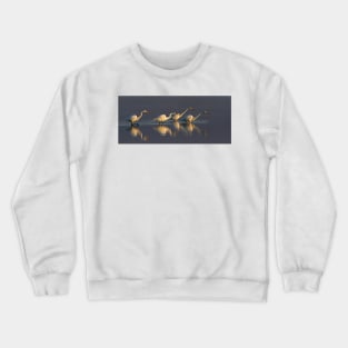 Fishing - Great Egrets Crewneck Sweatshirt